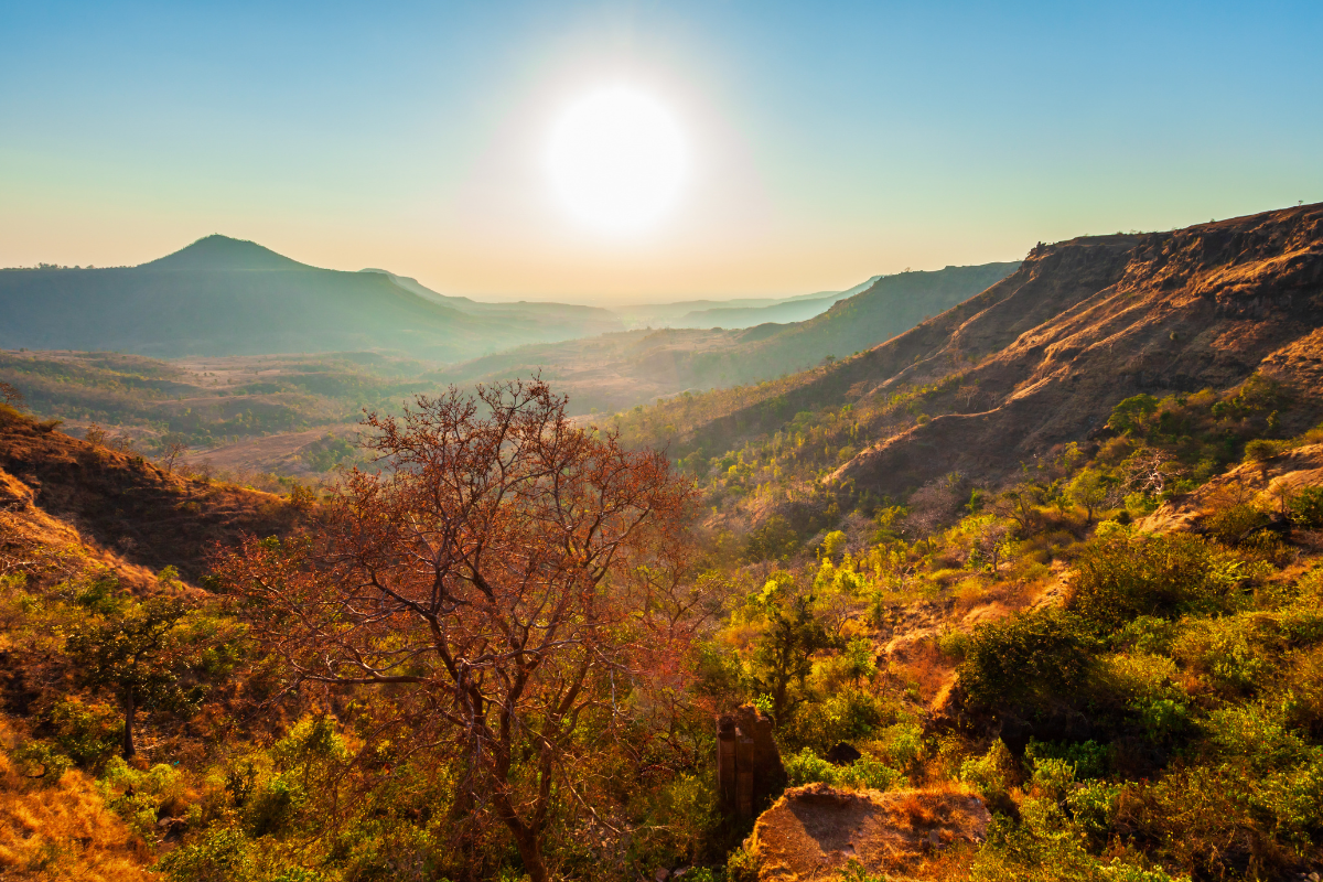 THE WILD HEART OF INDIA