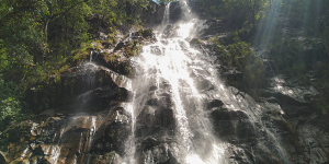 PACHMARHI - LOCAL SIGHTSEEING IN FOREST GYPSY